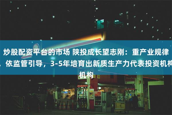 炒股配资平台的市场 陕投成长望志刚：重产业规律，依监管引导，3-5年培育出新质生产力代表投资机构