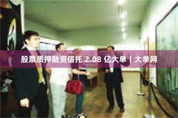 股票质押融资信托 2.08 亿大单｜大单网