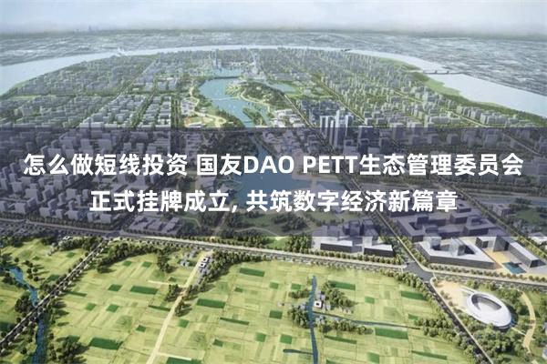 怎么做短线投资 国友DAO PETT生态管理委员会正式挂牌成立, 共筑数字经济新篇章