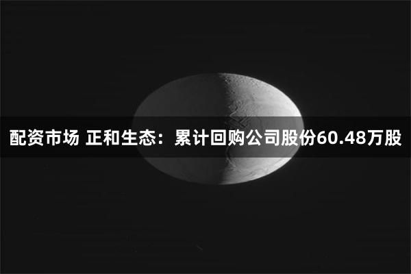 配资市场 正和生态：累计回购公司股份60.48万股