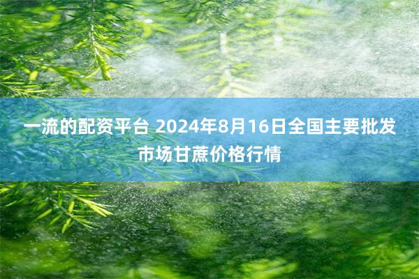 一流的配资平台 2024年8月16日全国主要批发市场甘蔗价格行情