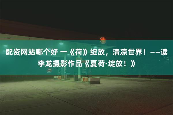 配资网站哪个好 一《荷》绽放，清凉世界！——读李龙摄影作品《夏荷·绽放！》