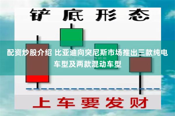 配资炒股介绍 比亚迪向突尼斯市场推出三款纯电车型及两款混动车型