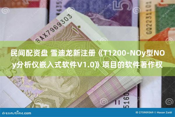 民间配资盘 雪迪龙新注册《T1200-NOy型NOy分析仪嵌入式软件V1.0》项目的软件著作权