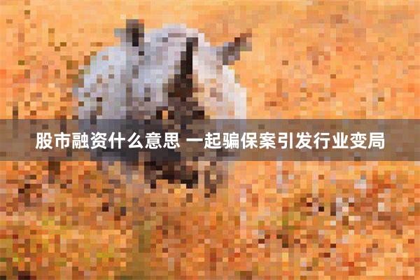 股市融资什么意思 一起骗保案引发行业变局