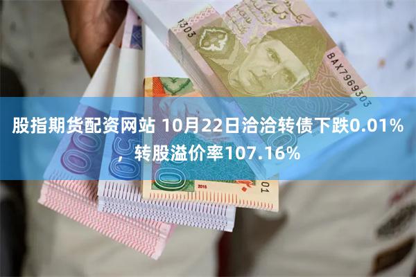 股指期货配资网站 10月22日洽洽转债下跌0.01%，转股溢价率107.16%