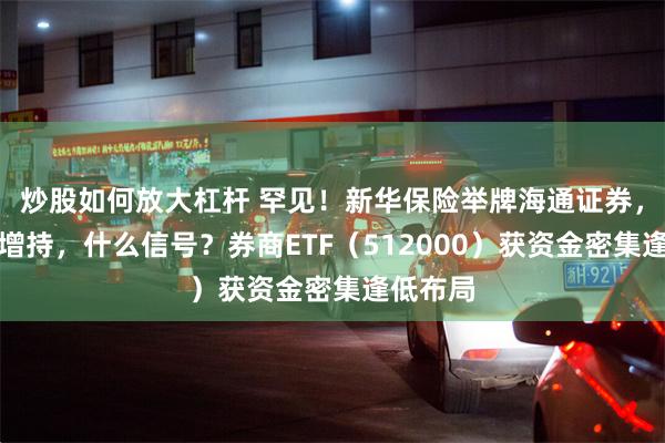 炒股如何放大杠杆 罕见！新华保险举牌海通证券，并继续增持，什么信号？券商ETF（512000）获资金密集逢低布局