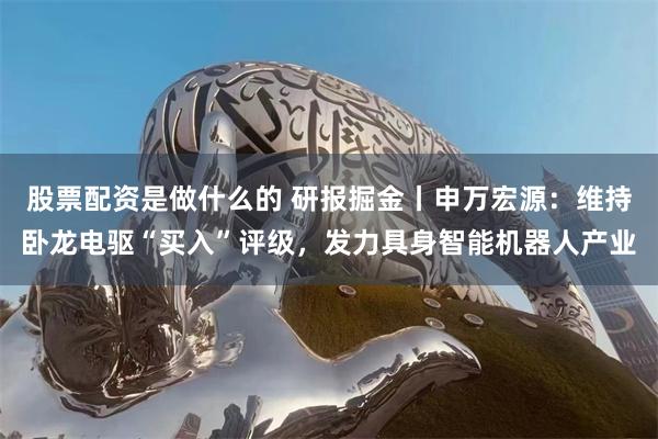 股票配资是做什么的 研报掘金丨申万宏源：维持卧龙电驱“买入”评级，发力具身智能机器人产业