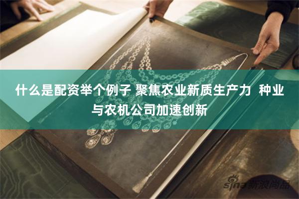 什么是配资举个例子 聚焦农业新质生产力  种业与农机公司加速创新