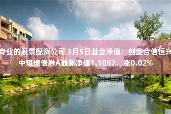 专业的股票配资公司 3月5日基金净值：创金合信恒兴中短债债券A最新净值1.1087，涨0.02%